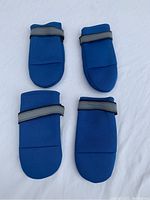 Top view of four blue neoprene dog booties showing front and back pairs with securing straps.