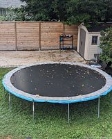 15-foot trampoline in grassy backyard, blue padded edges, black mat, no visible damage or sagging