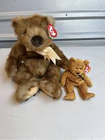 Photo of large brown collectible bear and small Beanie Baby Fuzz bear side by side with TY tags