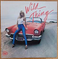 Front cover of 'Wild Thing' double vinyl album showing woman on red convertible car by the beach.
