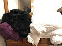 Image showing piled bedding items including black faux fur throw and shams and white comforter/bedspread with lace scalloped edges.