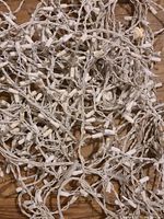 Four strands of clear white miniature Christmas lights tangled on a wooden surface with white wire and bulb bases.