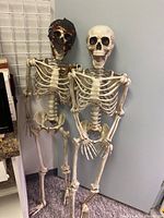 Both skeletons side by side, standing upright, showing overall condition and burn mask decoration on one skull
