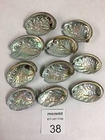 Top down image showing all 10 small abalone shells arranged with inner pearly surfaces visible.