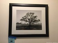 Photo of the framed black and white tree scene art hung on the wall, showing the entire frame and matting in a black frame.