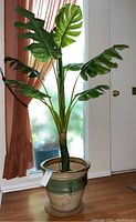 Full view of the artificial plant in the glazed earthenware pot near a door with curtain in background.