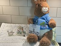 Stuffed Peter Rabbit plush toy in front of one baby quilt with Beatrix Potter designs.