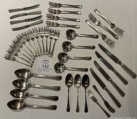 Complete set of flatware arranged on a flat surface, showing forks, knives, spoons, butter knives, and serving ladles.