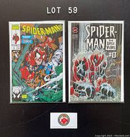 Photo shows two Spiderman comic books, Spiderman 5 from 1990 and Spiderman: The Lost Years 0 from 1996. Both are bagged and boarded.
