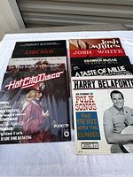 Photo of the full lot showing covers of several vinyl records including Hot City Disco, Chicago, Josh White, Carmen McRae, A Taste of Millie, and Harry Belafonte.