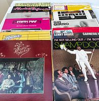 Top view of vinyl records stacked showing titles: Swamp Dogg, Tasty Licks, America, Edith Piaf, Lenny Bruce, Suzi Quatro, and others