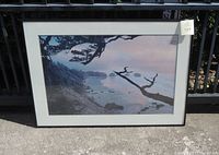 Framed coastal scenery print 35x25 inches outdoors showing the foggy coastline with trees and water.