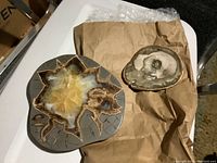 Two polished geodes/fossils on brown paper showing crystal and fossil textures