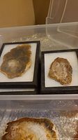 Two geode slices mounted in black frames against white fabric backing inside a clear plastic container.