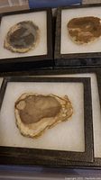 Close up of three geode slices in black square frames with white backing, showing beige, brown, and grey crystalline interiors.