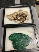 Close-up of two framed mineral specimens: a brown and white fossil slice and a bright green malachite slice on white pad.