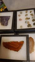 Photo showing multiple small rock slices and tumbled stone samples carefully displayed on white foam inside black display cases.