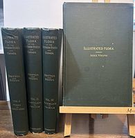 Four volumes upright: three primary volumes on left and index volume on stand