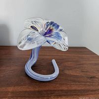 Side view of Murano glass flower showing curved stem and petals with color accents