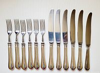 Full set of 12 pieces, 6 forks and 6 knives laid out horizontally showing handles and blades/tines.
