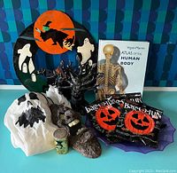 Full lot showing all Halloween decorations and book on blue background