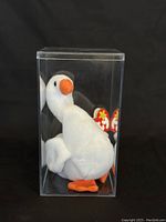 Gracie Beanie Baby inside a clear protective case with visible Ty tag.