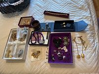 Wide view of the jewelry collection showing the Murano glass necklace, Arbuzzi bracelet, cufflinks, tie pin, lockets, earrings, faux pearl strands, and broken jewelry pieces.