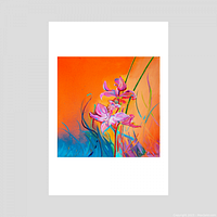Photo showing the 13x19 inch art print 'Calopogon' with vibrant pink and purple flower illustrated against bright orange and blue background on high quality 100lb paper.