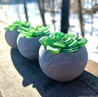 Photo shows three green succulents made of sea glass placed in small round gray pots, arranged in a row on a wooden surface with outdoor natural light.