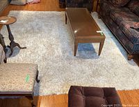 Full view of white shag carpet with coffee table and seating surrounding it, showing overall texture and condition of carpet.