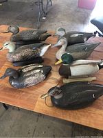 Photo showing seven duck decoys with various paint colors and wear on a wooden surface