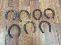 Top view of seven horseshoes on wood floor showing various sizes and rust coverage
