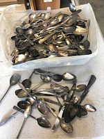 Large collection of mixed silver plated flatware mainly spoons piled in a plastic container and some spilled out below, showing age and tarnishing.