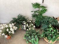 Seven artificial plants, various sizes and types of greenery and white flowering plants, assorted pots including woven baskets and plastic pots.