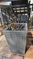 Single tall gray faux wicker planter with soil and branches inside shown outdoors on wooden deck.