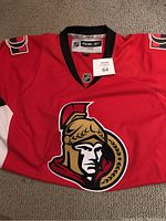 Red Ottawa Senators hockey jersey with large team logo on front and number 9 on shoulders.