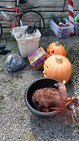 Photo of two large orange pumpkin decorations, black spider on white bin, black cauldron with glittery turkey decoration, and Halloween boxes on gravel ground near bicycles.