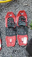 Pair of Little Bear Trek snowshoes clearly showing brand logo, size 25, red frame and black adjustable straps