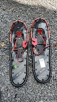 Pair of Garneau Blizzard 930 snowshoes shown from above on gravel surface, displaying full length and bindings.