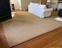 Full view of area rug laid in living space showing overall size and color