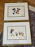 Overview of both framed serigraph cels, top and bottom.