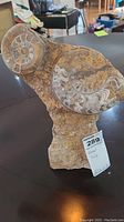 Front view of the fossil statue showing two ammonite fossils embedded in the stone base, with a label indicating item details.