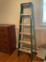 Front view of the Werner fiberglass ladder folded closed against a wall, showing green fiberglass rails and aluminum steps.