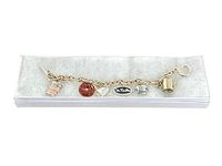 Full view of the charm bracelet with all six charms displayed, showing the chain and toggle closure.