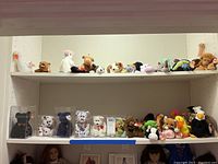 Shelf display showing assorted Beanie Babies including some in protective cubes and others grouped on shelves.