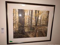 Full view of framed print showing autumn forest scene with trees and sunlight.