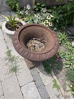 Front top view of rust-colored cast iron planter containing some dried plant material, showing interior and decorative rim detail on paved garden area.