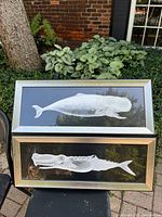 Two large framed whale art prints: one sperm whale on top, one sawtooth whale below, displayed outdoors on black chair and table.