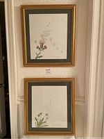 Two framed botanical prints by J. Wanda Harris hanging on the wall, showing the full artworks and frames