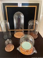 Five different glass cloches of various heights and wooden base colors arranged on a black surface with a white and gold framed background.